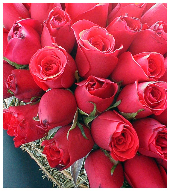 Мы Вас очень любим. Мы Вас очень любим.