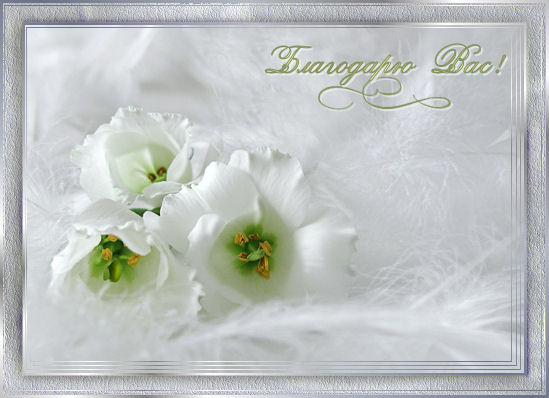 http://www.forumimage.ru/uploads/20110524/130621165366004422.jpg